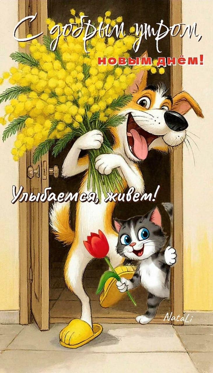 Доброе утро