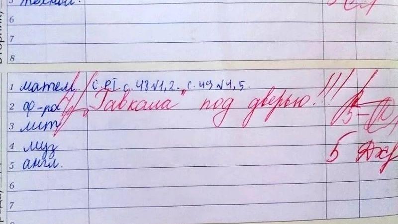 Записи в дневнике