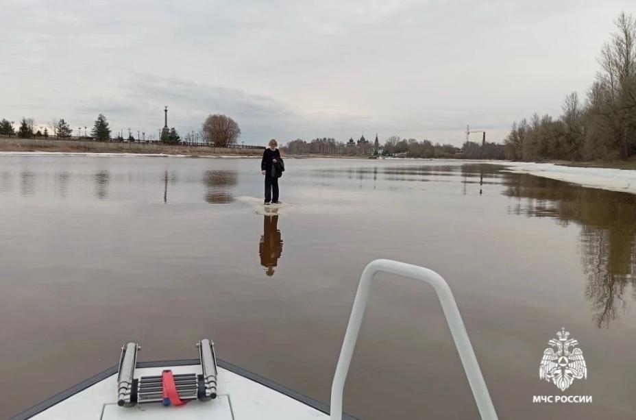 Мамонтёнок в Ярославле