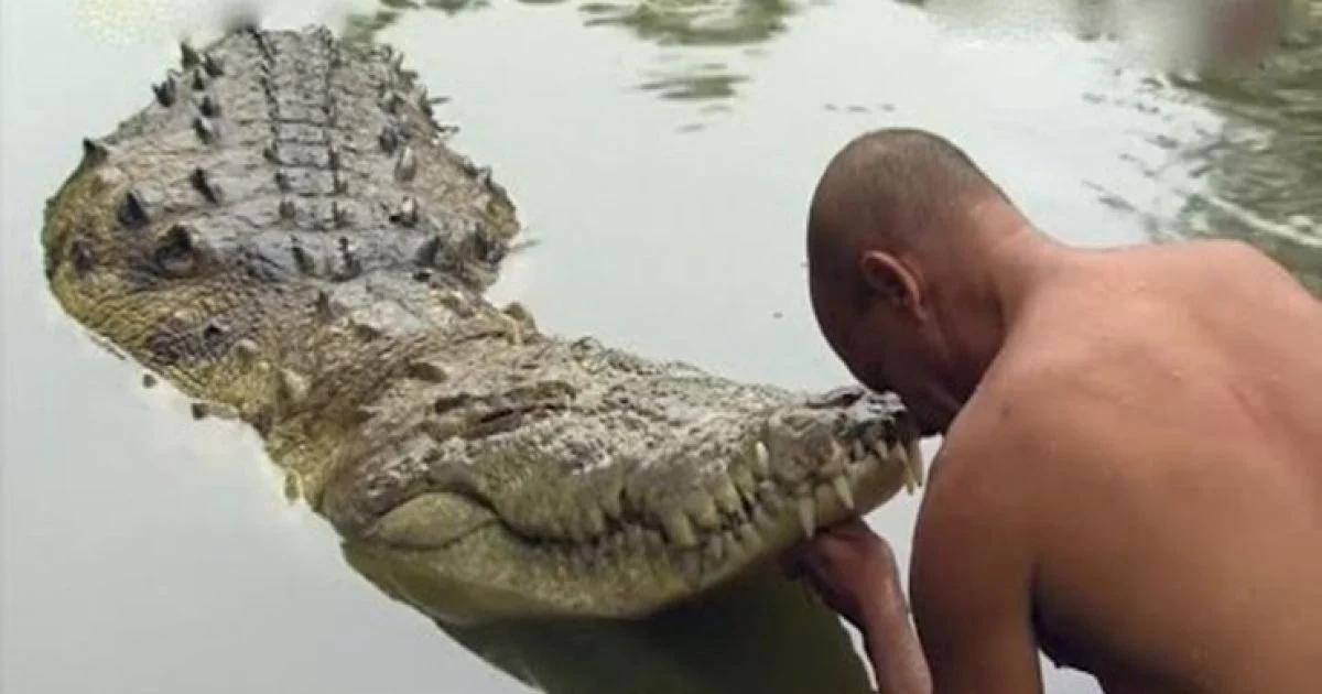 Индусы иногда дружат с крокодилами
