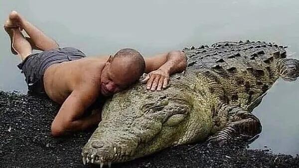 Индус и его ручной крокодил