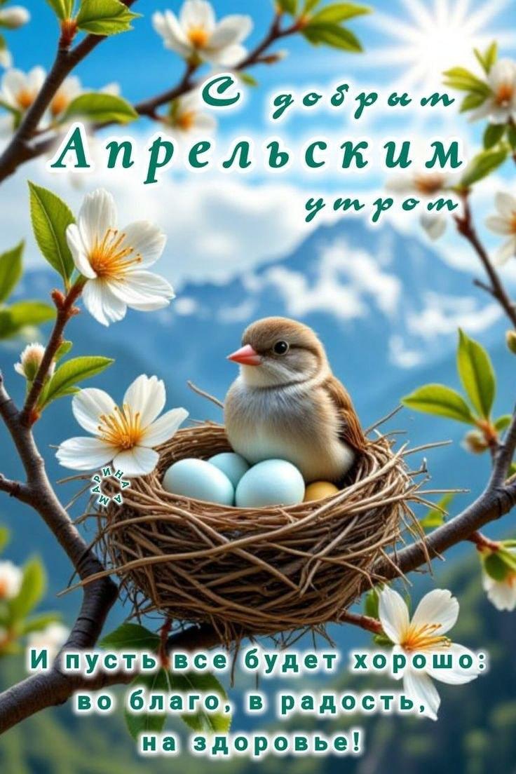 Доброе утро