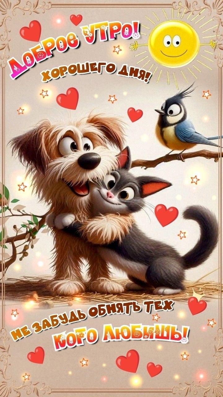 Доброе утро