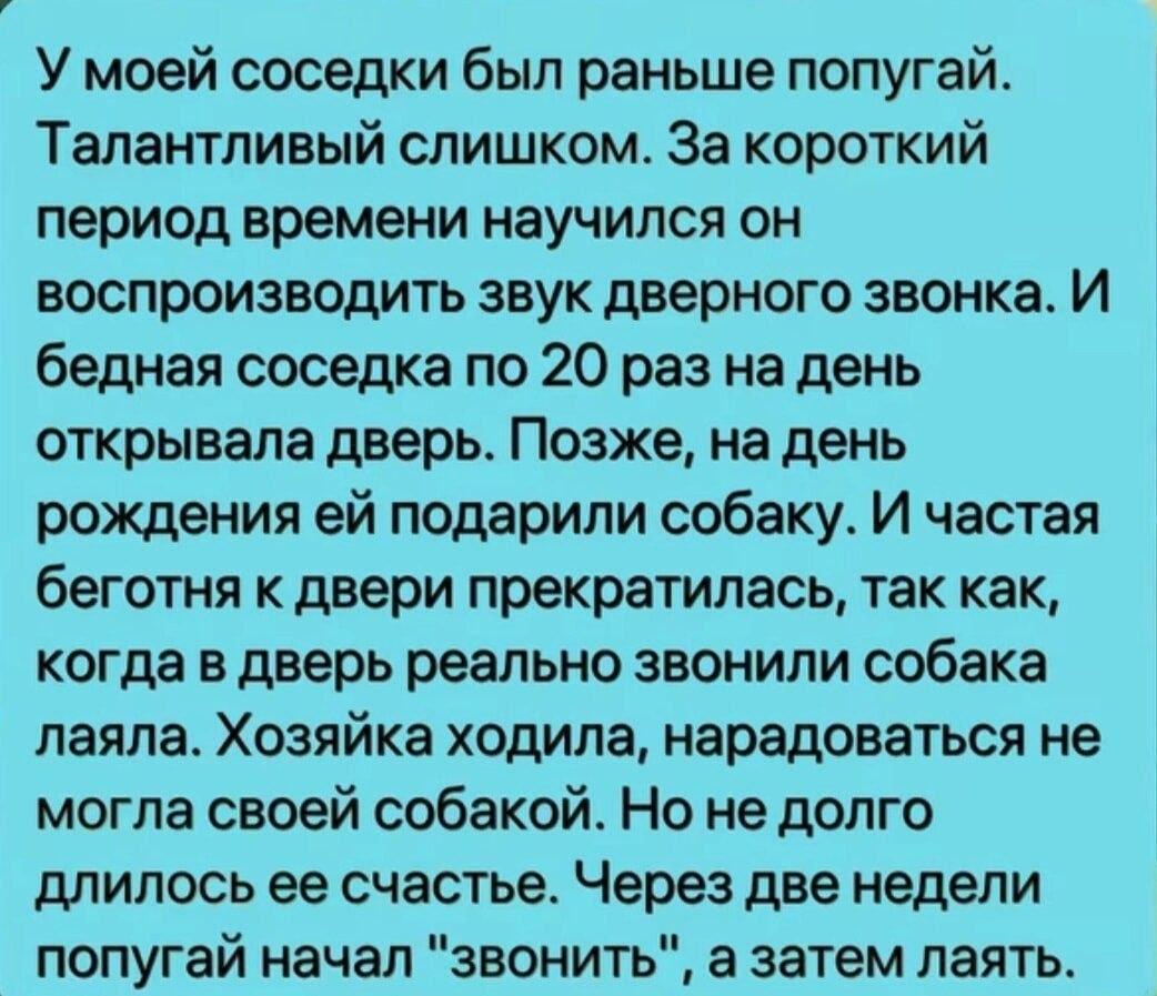 Попугай, мем