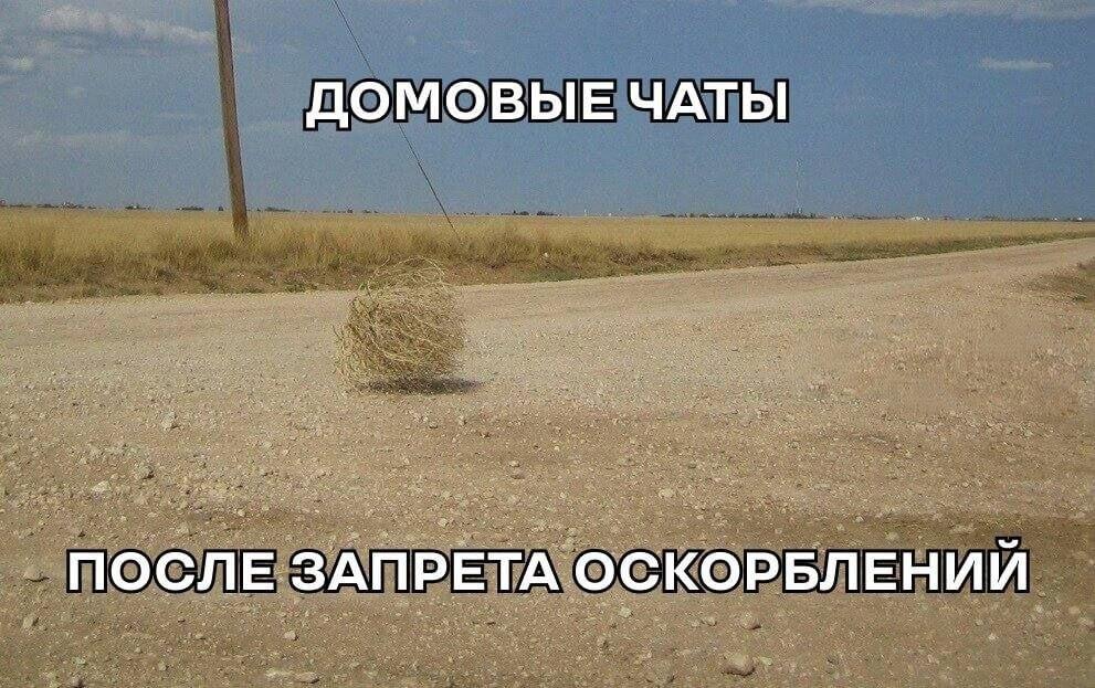 Мат в домовом чате