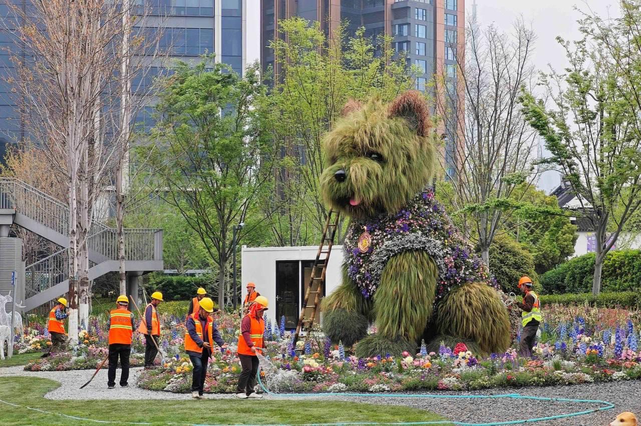 Шанхайская международная выставка цветов - собака