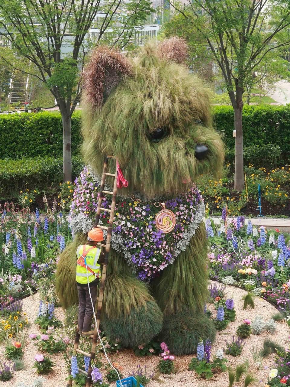 Шанхайская международная выставка цветов - собака