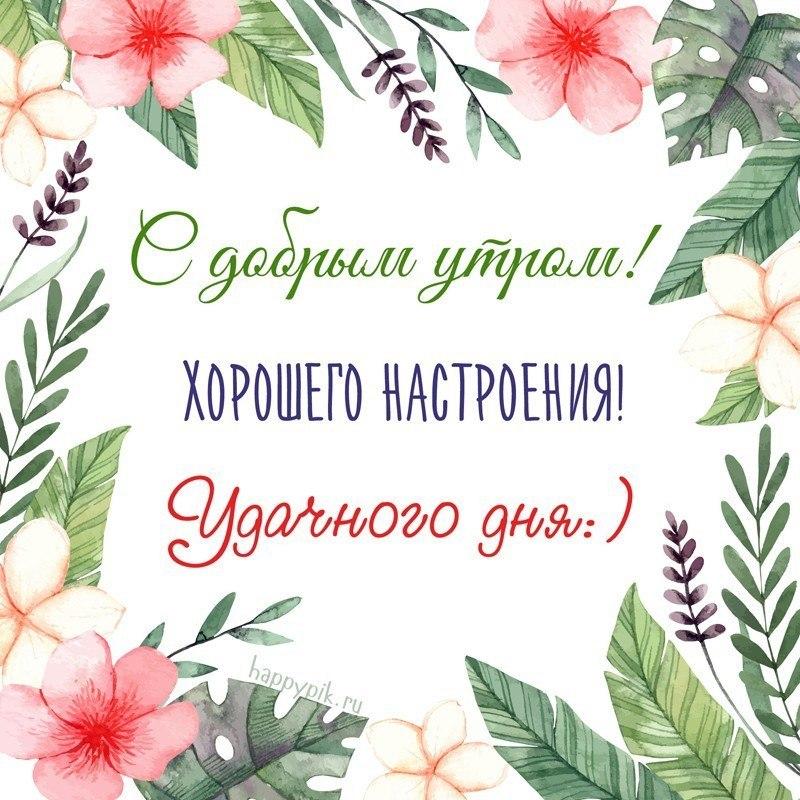 Доброе утро