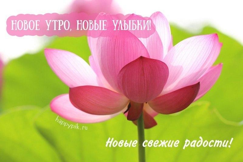 Доброе утро