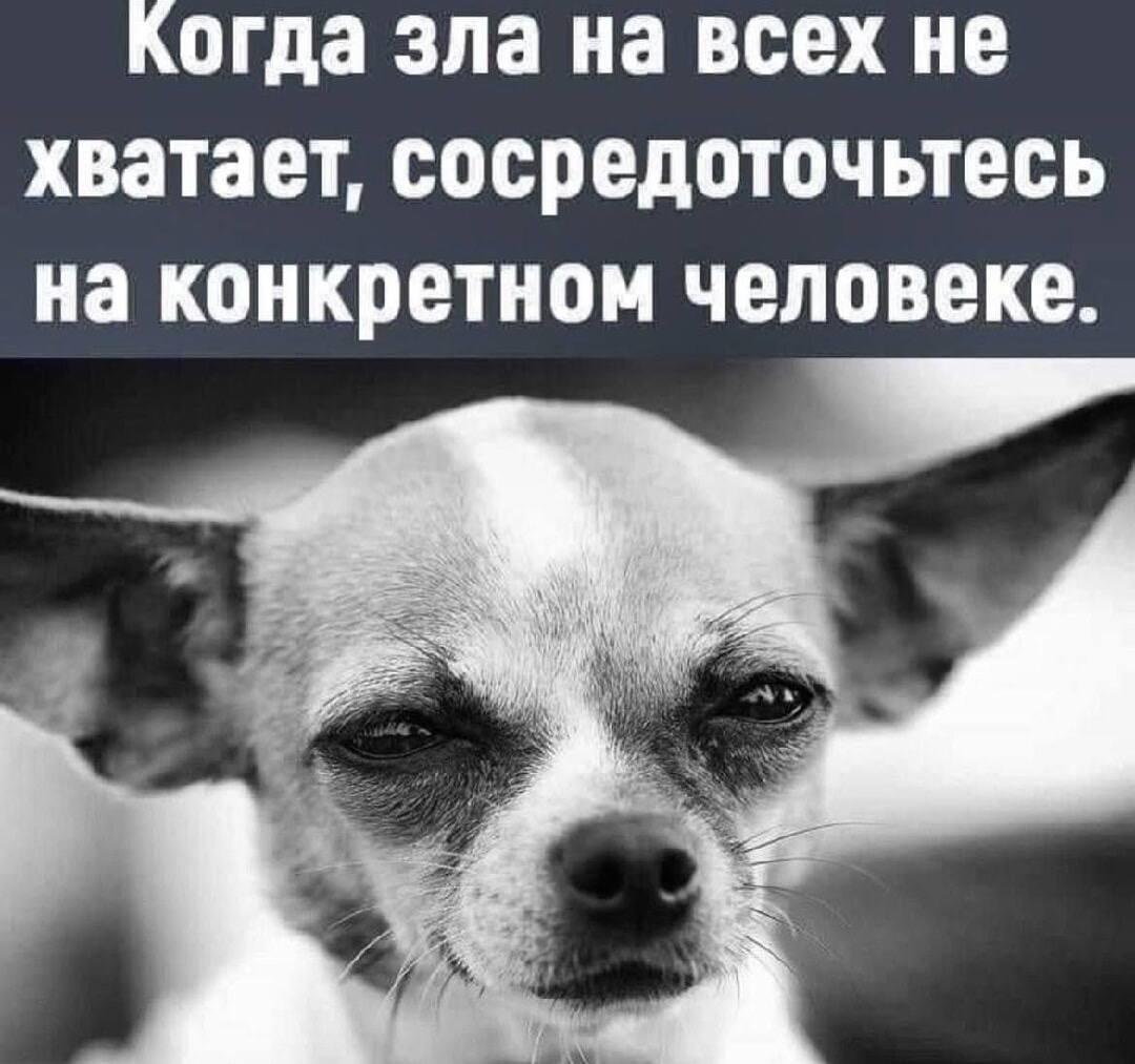 Мем, зла не хватает