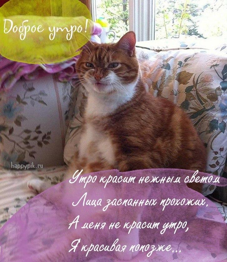 Доброе утро