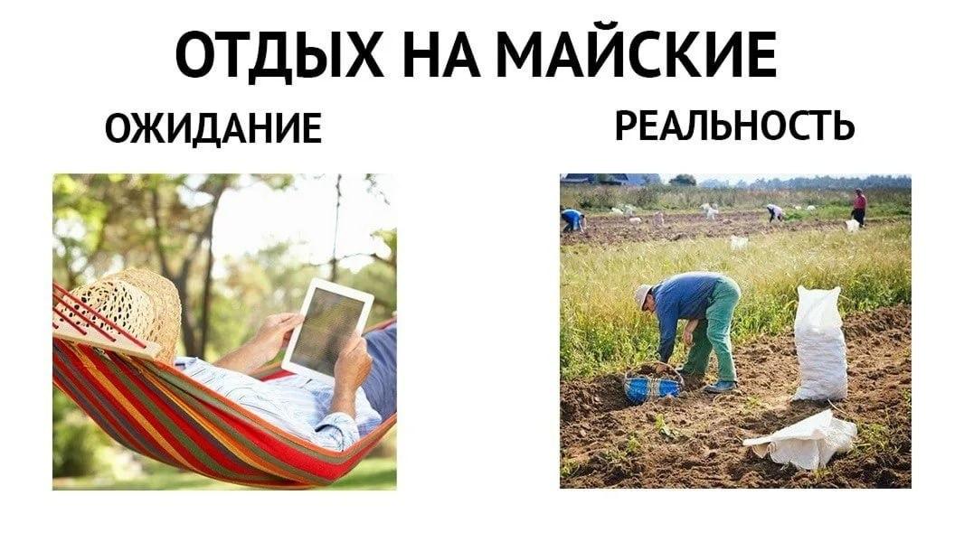 Отдых на майские, мем