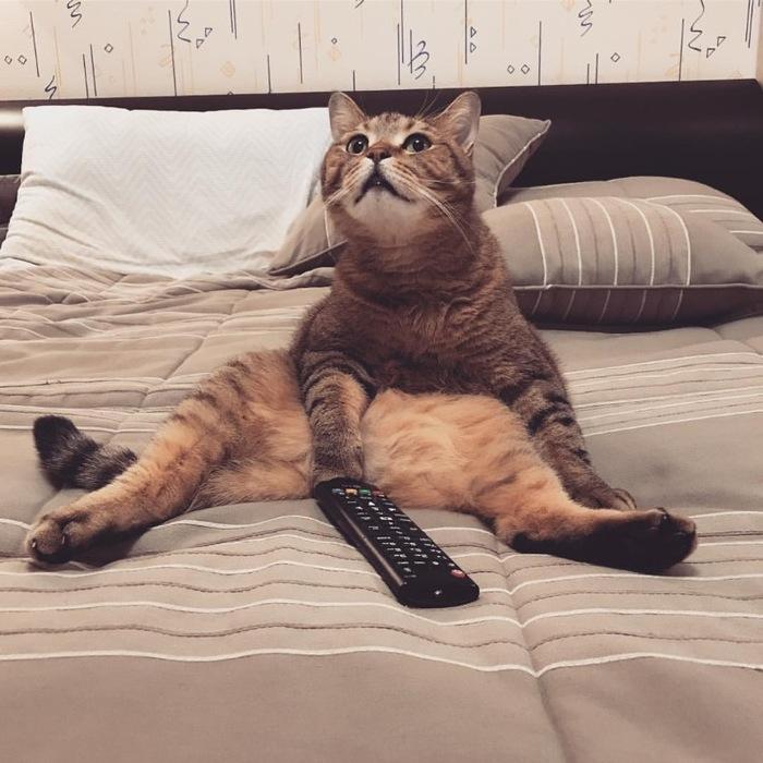 Этот ещё и каналы переключает