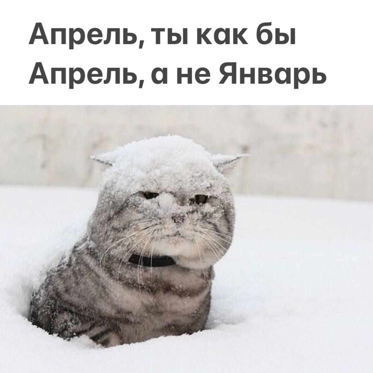 Снегопады в Москве,мем