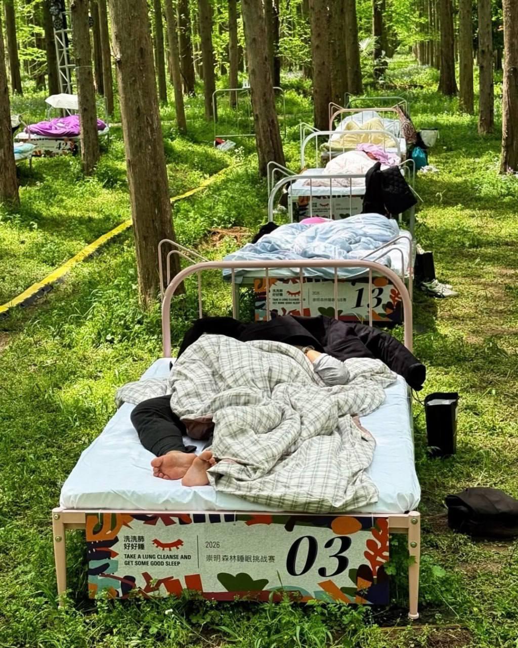 Чемпионат по сну в Китае