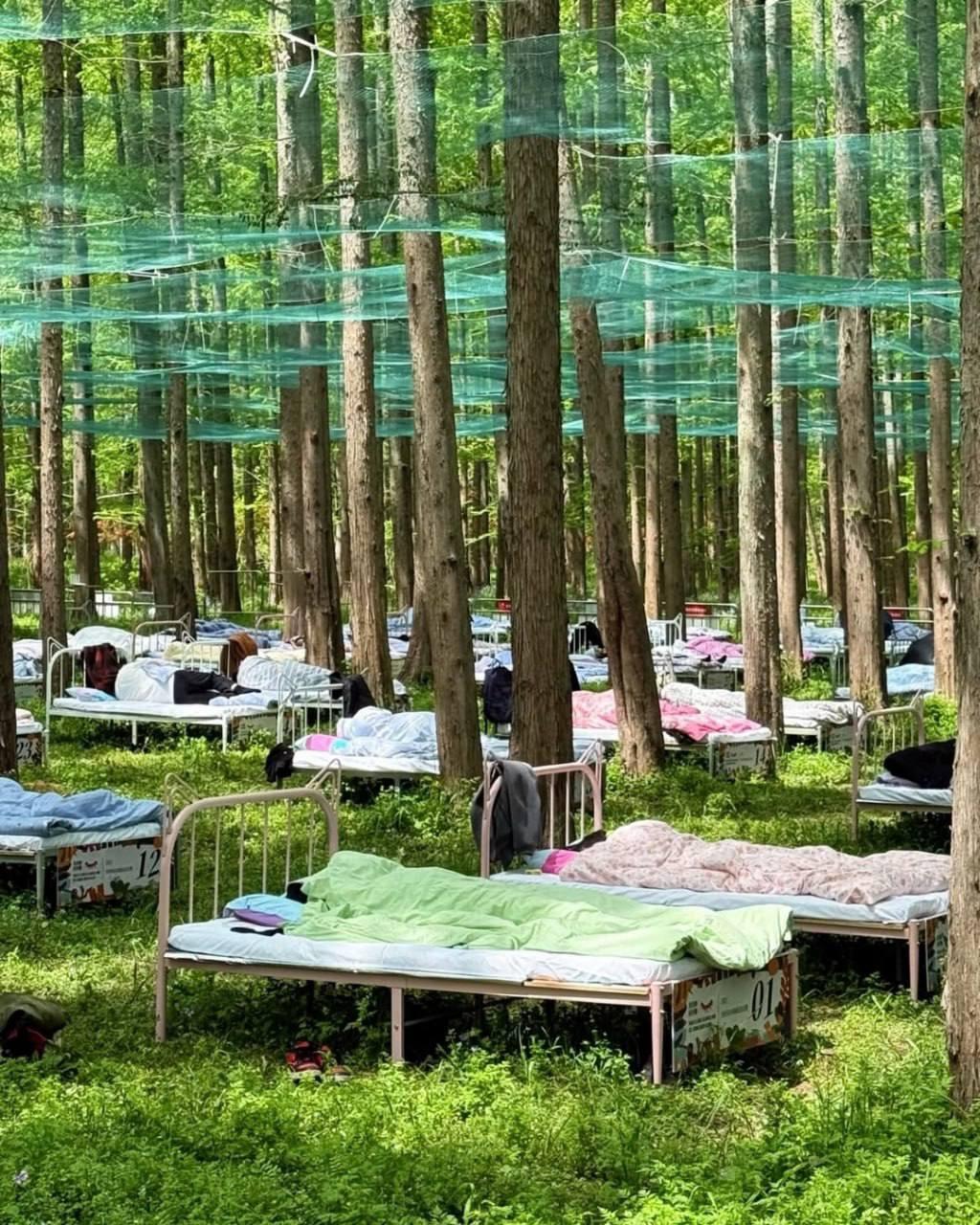 Чемпионат по сну в Китае