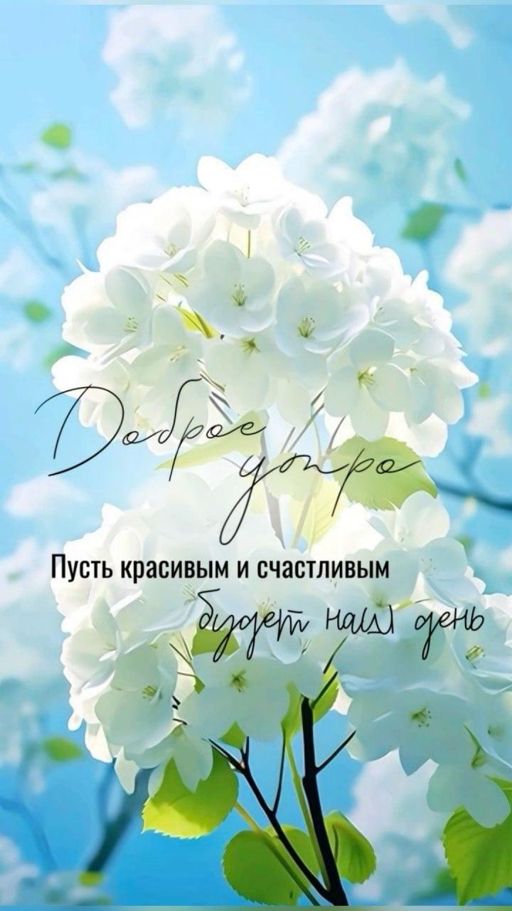 Доброе утро