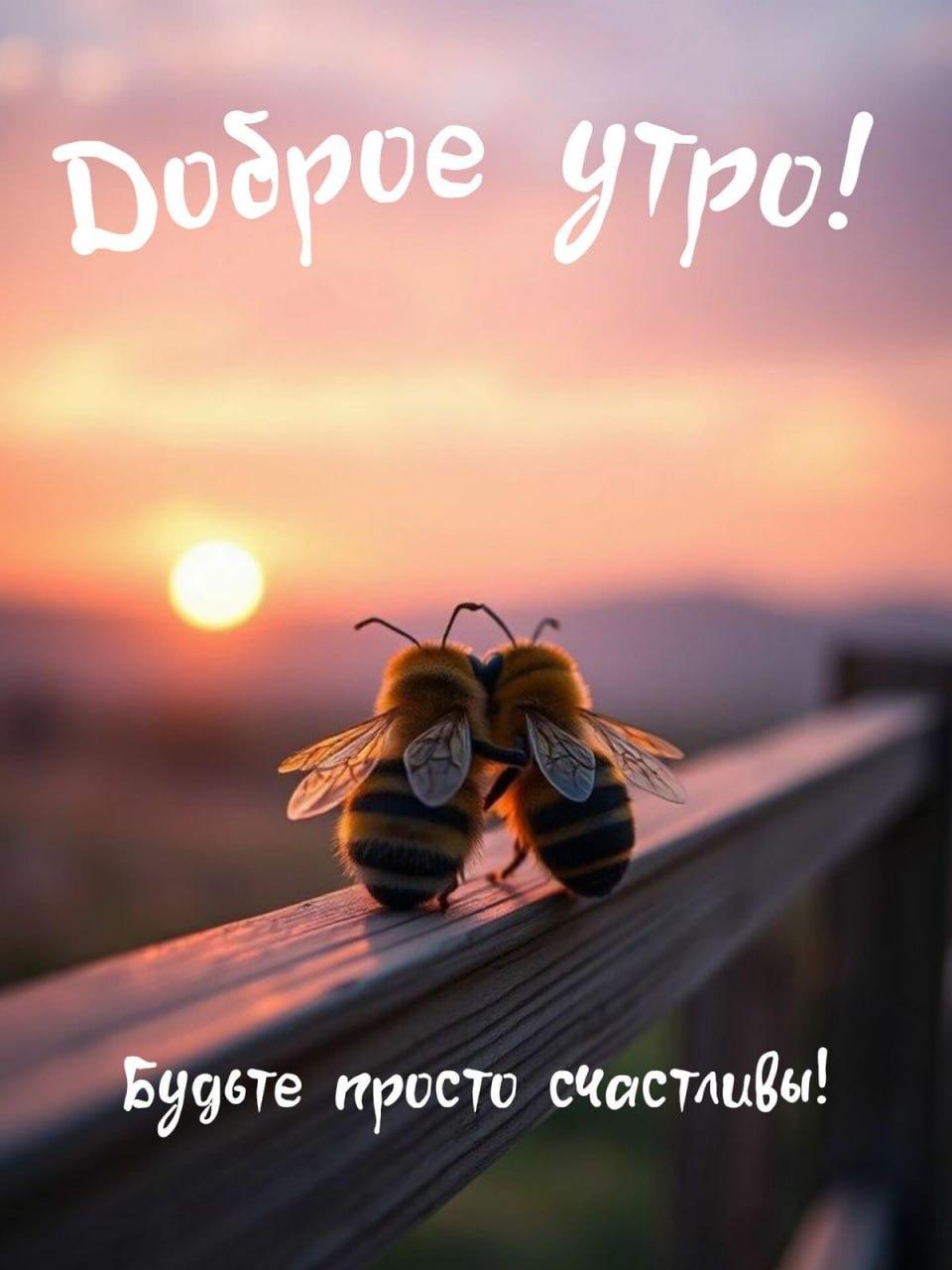 Доброе утро