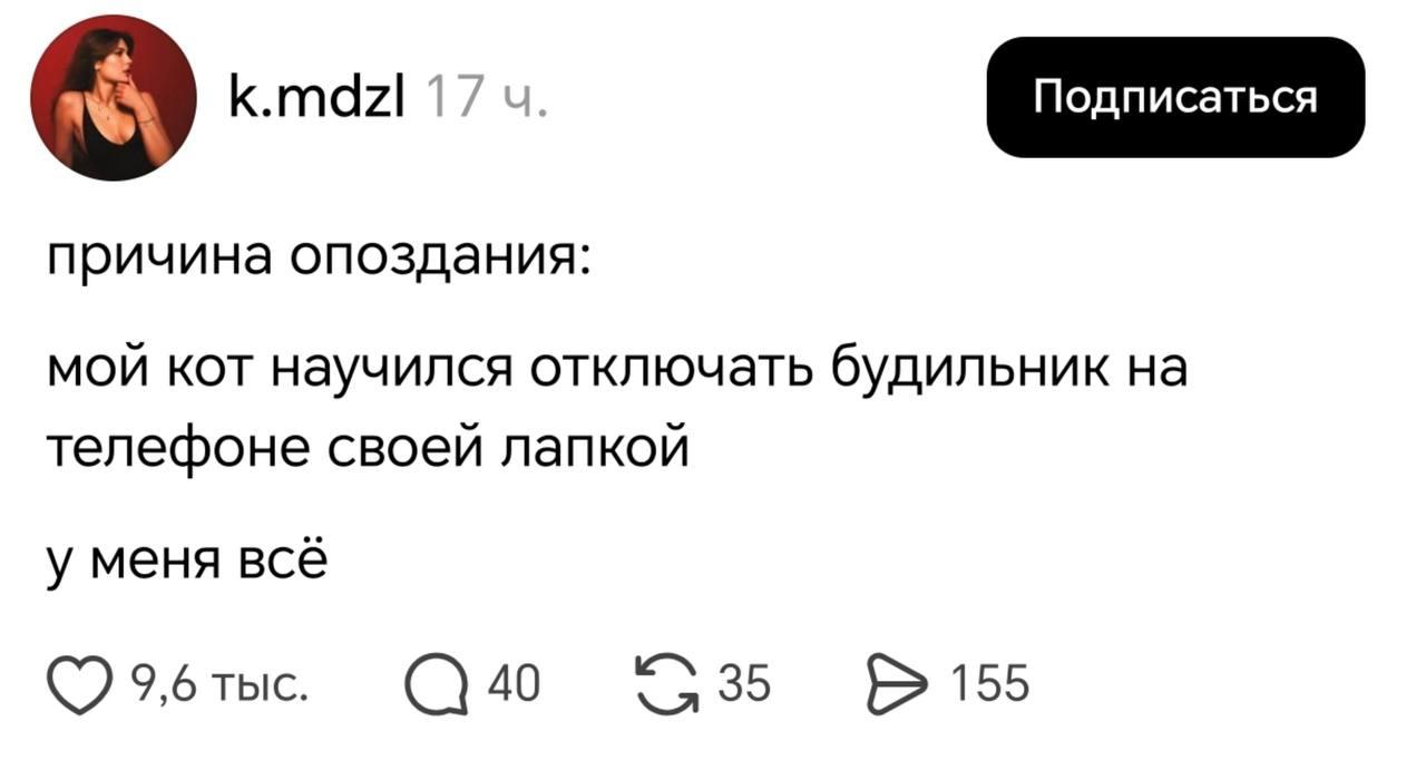Кот, мем