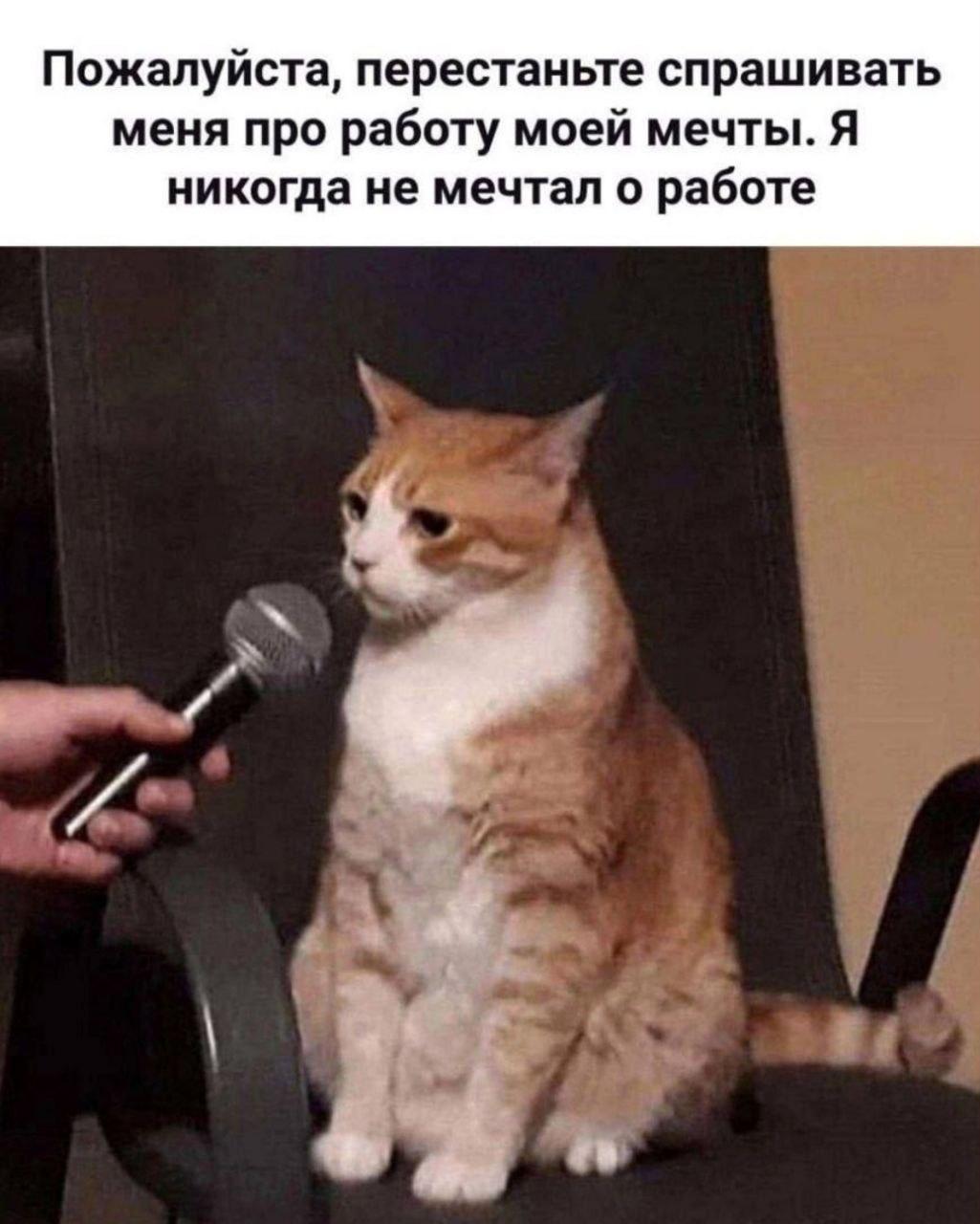 Мем про работу