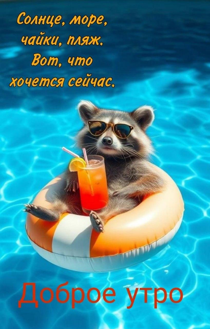 Доброе утро