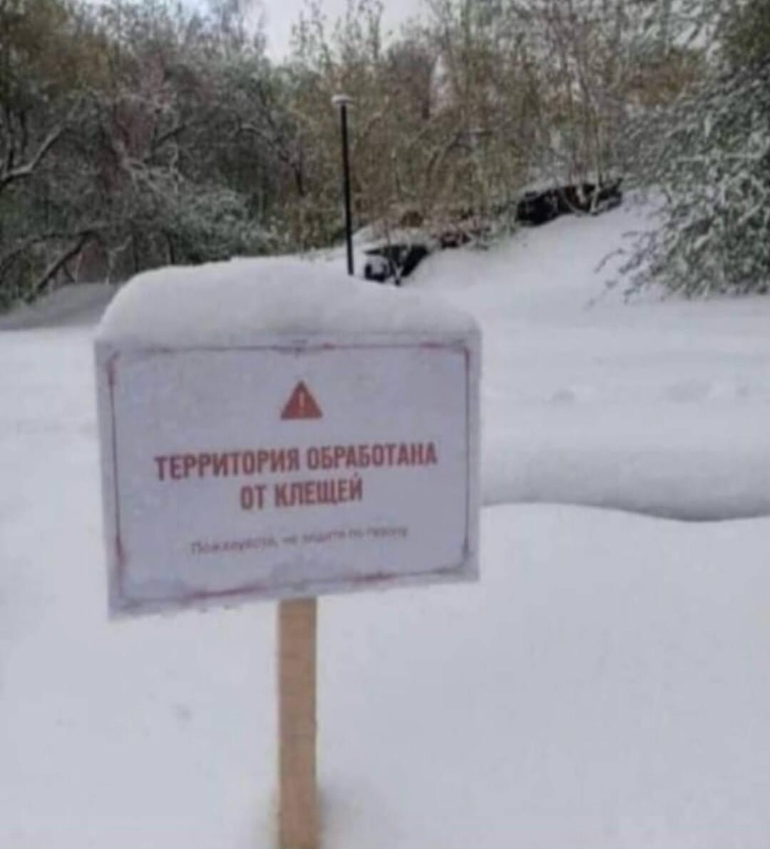 Обработано от клещей