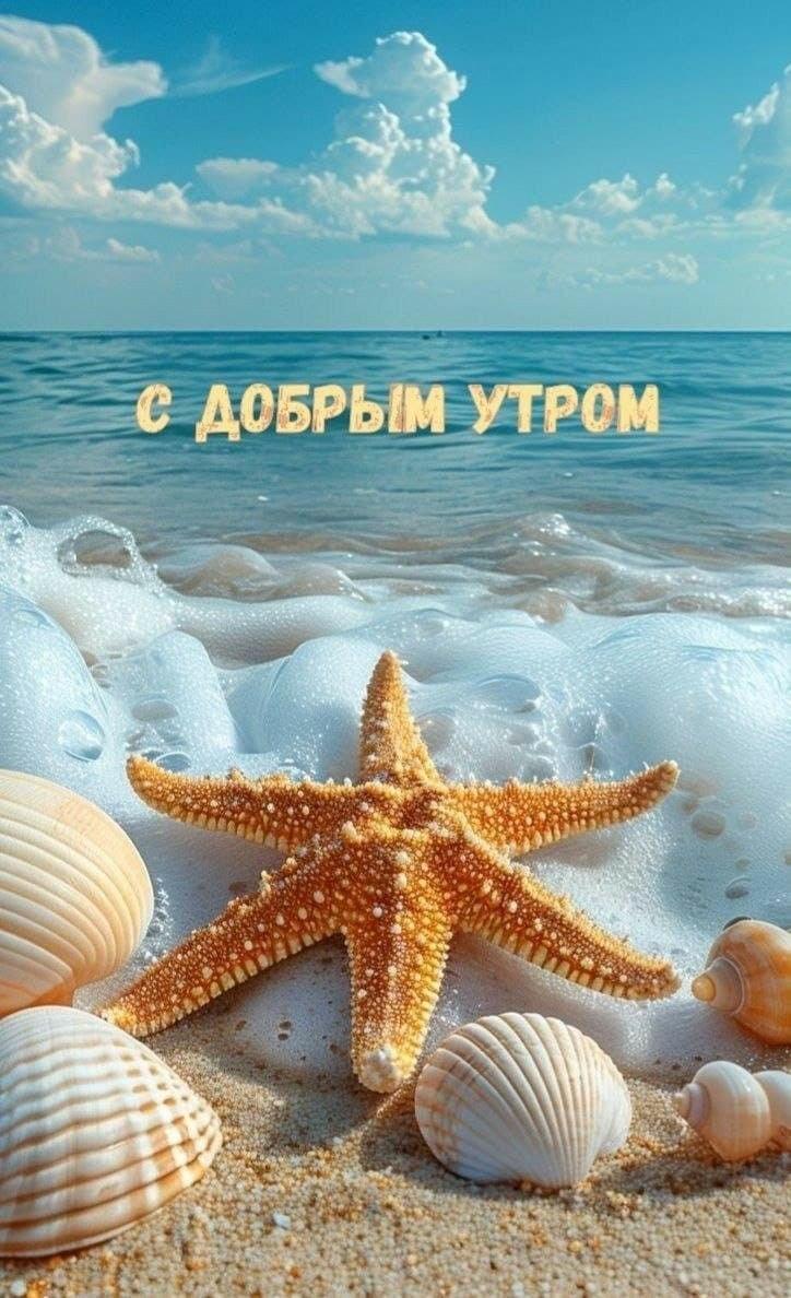 Доброе утро