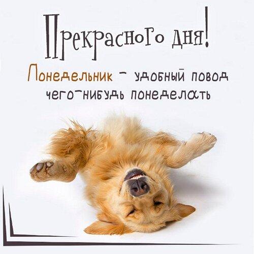 Понедельник, мем