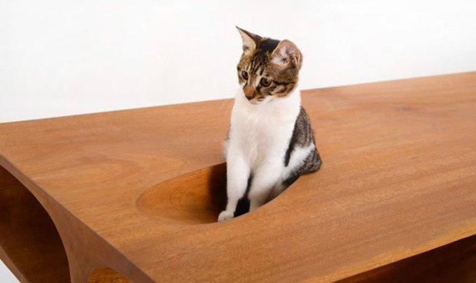 Стол для кота