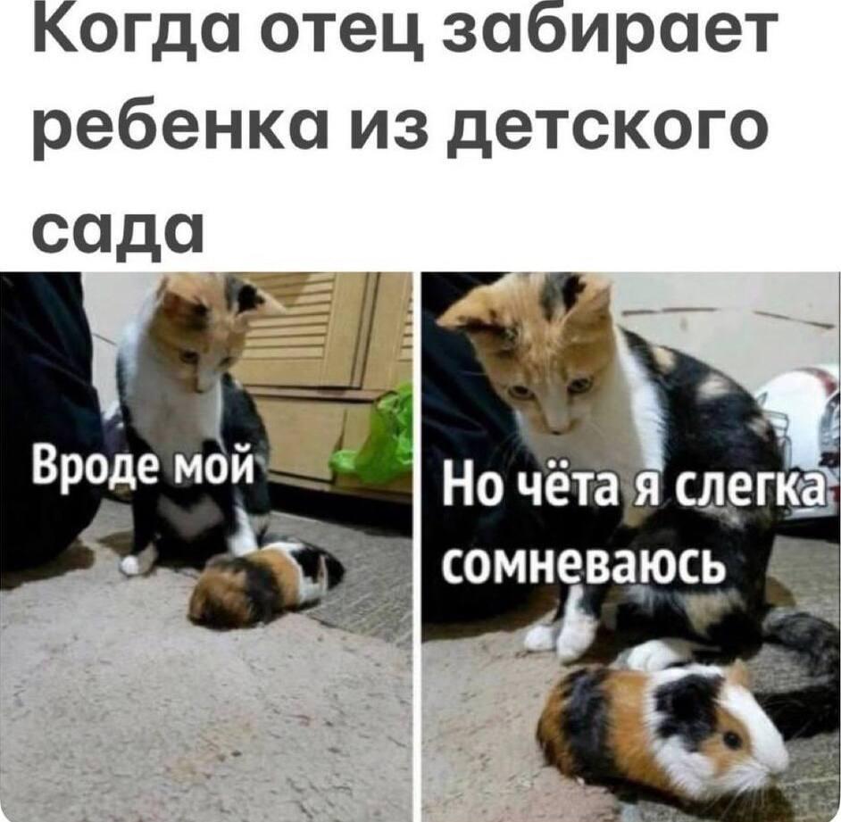 Папа и сын, мем