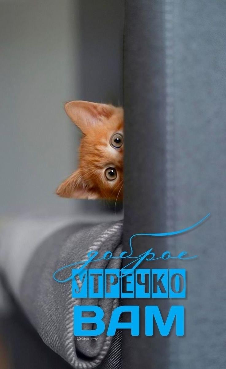 Доброе утро