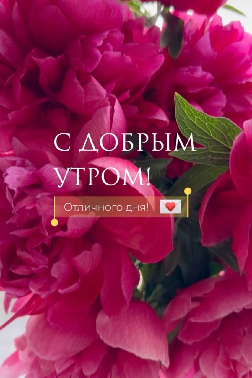 Доброе утро