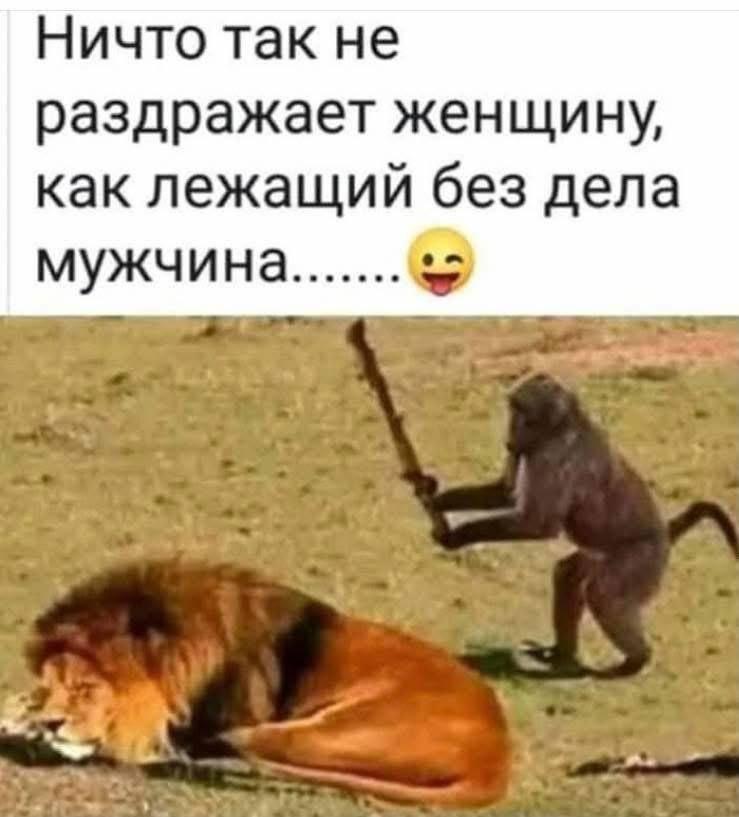 Женщина и мужчина, мем