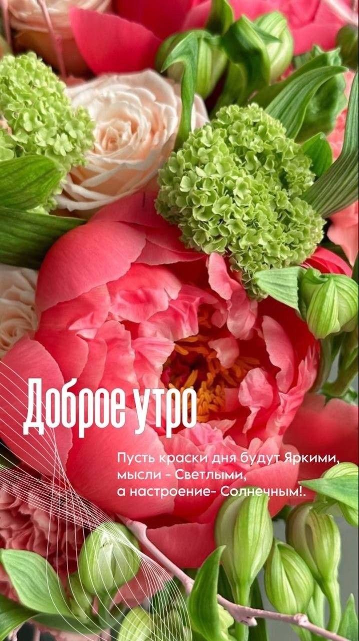 Доброе утро