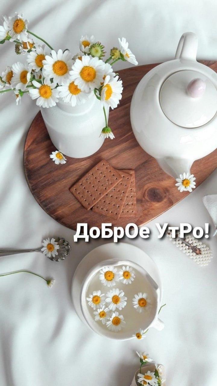 Доброе утро