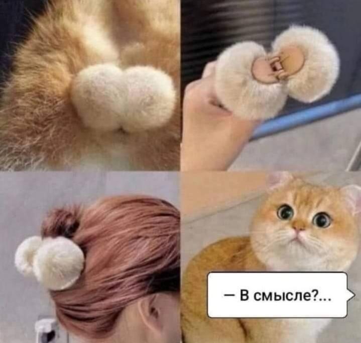Котик, яйца, украшение