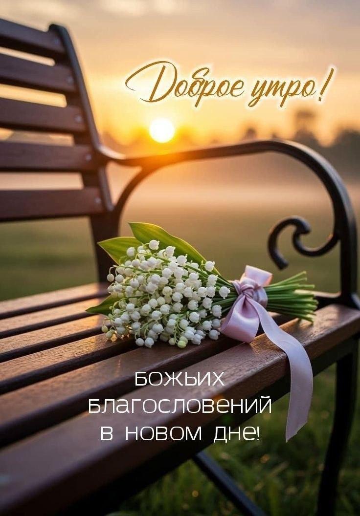 Доброе утро
