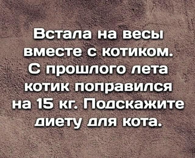 Диета для кота