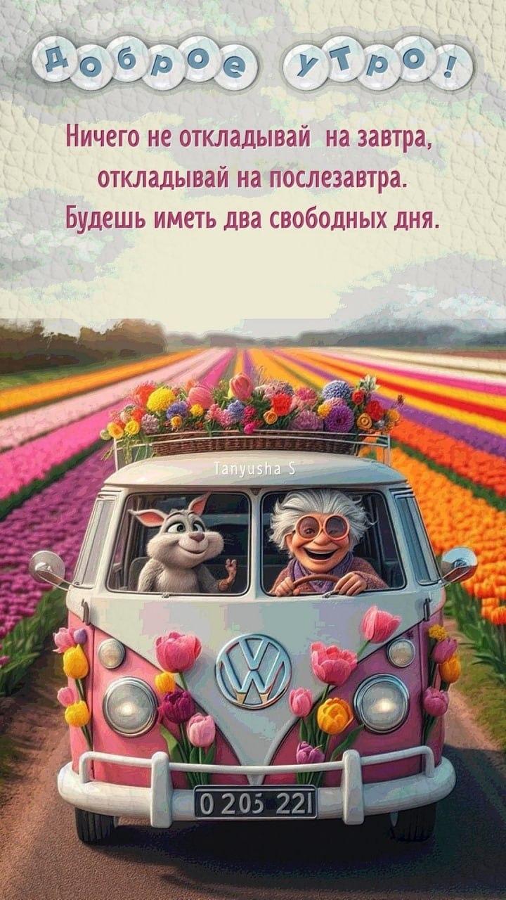 Доброе утро
