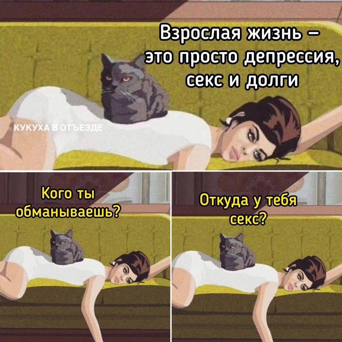 Котики и секс, мем