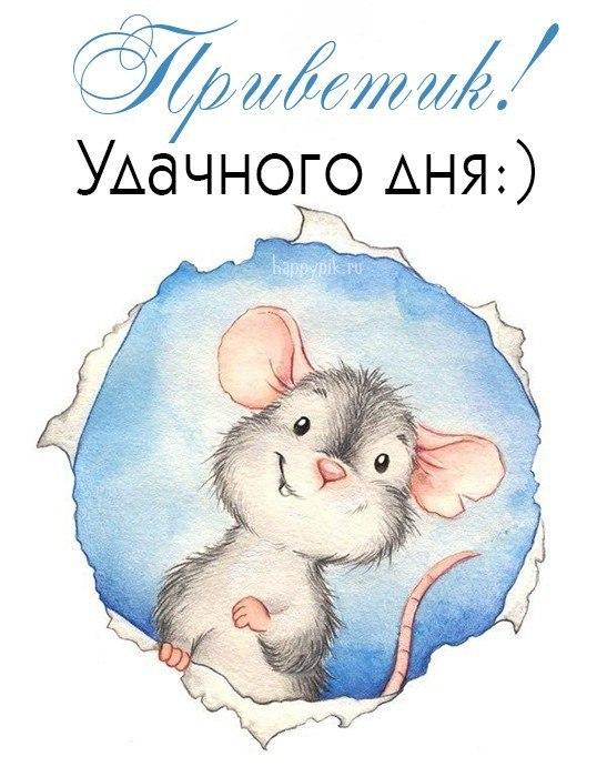 Доброе утро