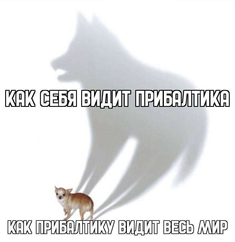 Прибалтика в глазах мировой общественности