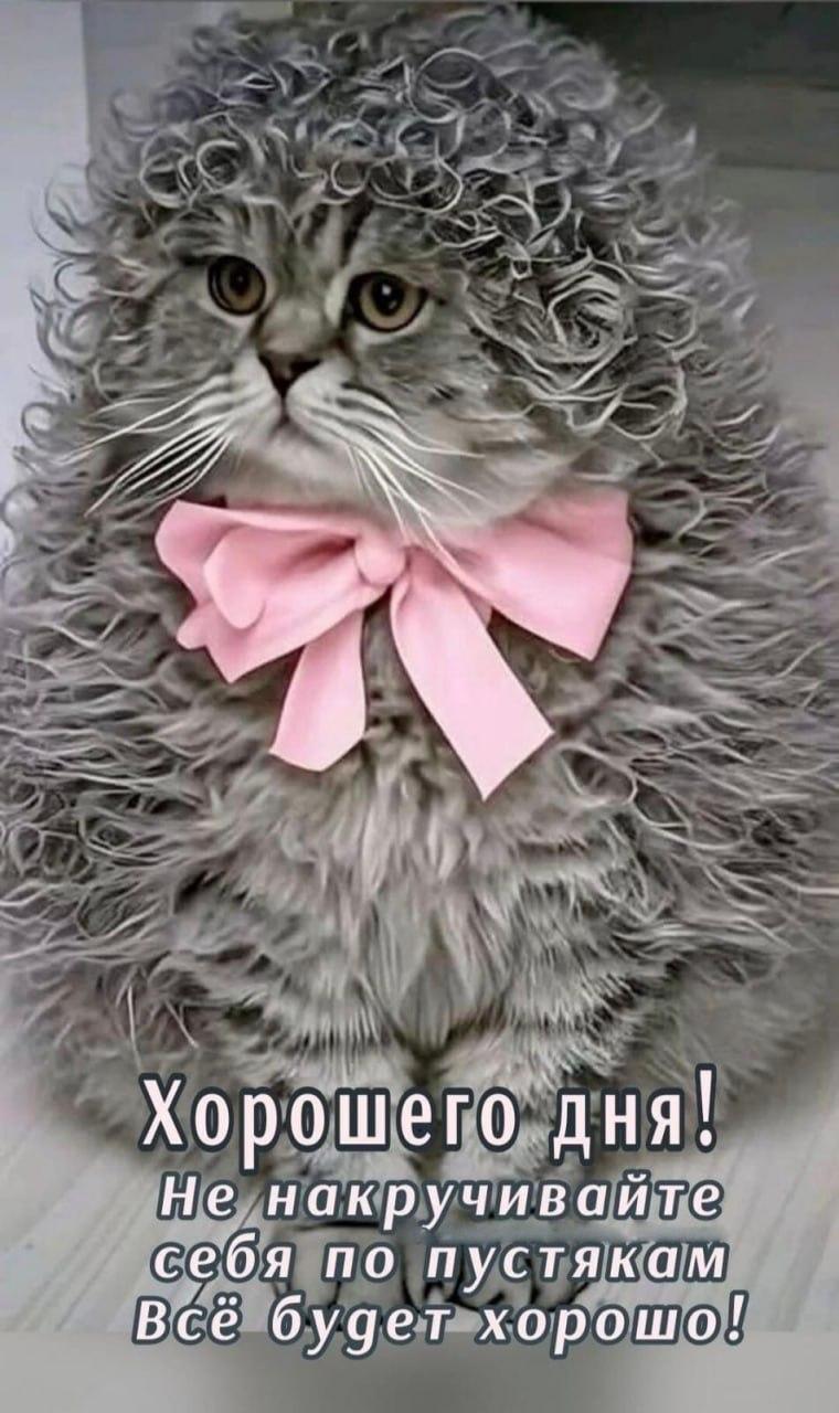 Доброе утро