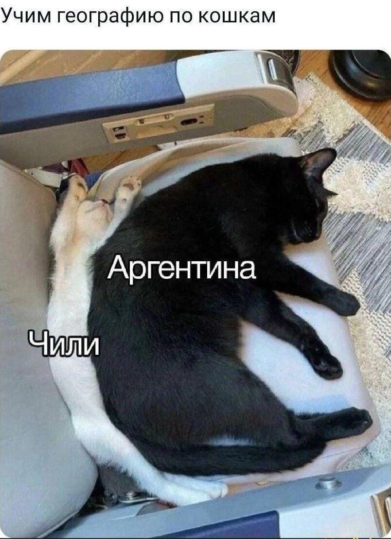 Аргентина и Чили, мем