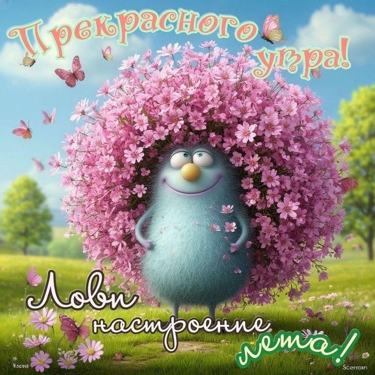 Доброе утро