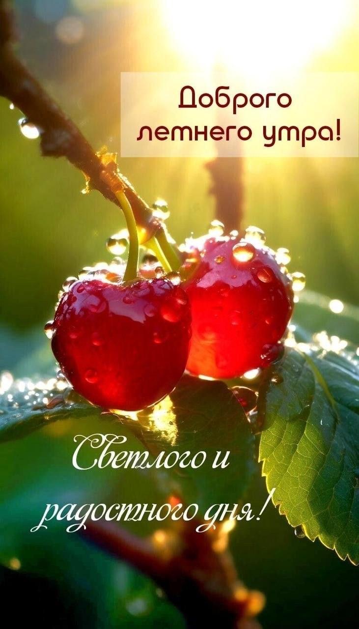Доброе утро