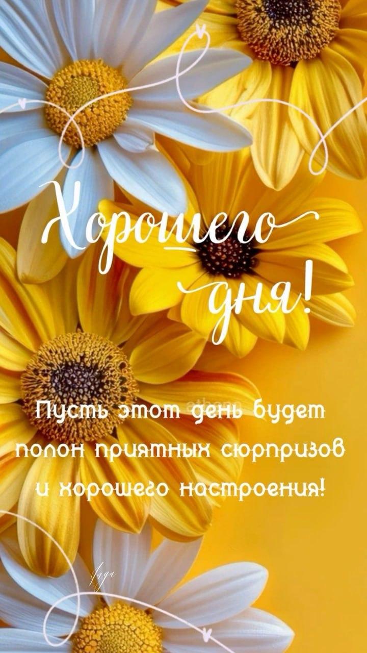 Доброе утро