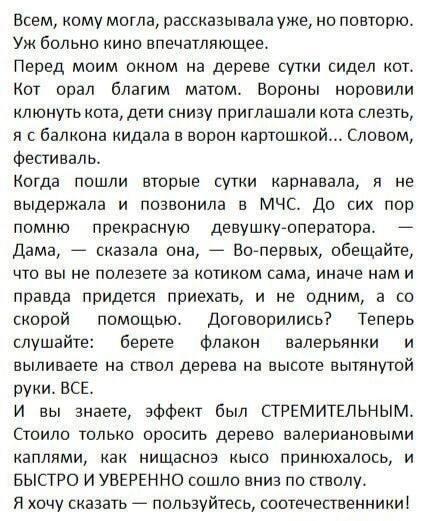 Как снять кота с дерева