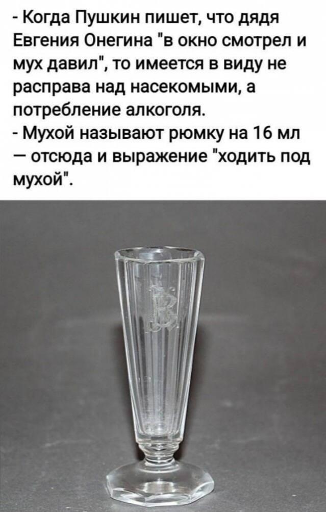 Ходить под мухой, Пушкин
