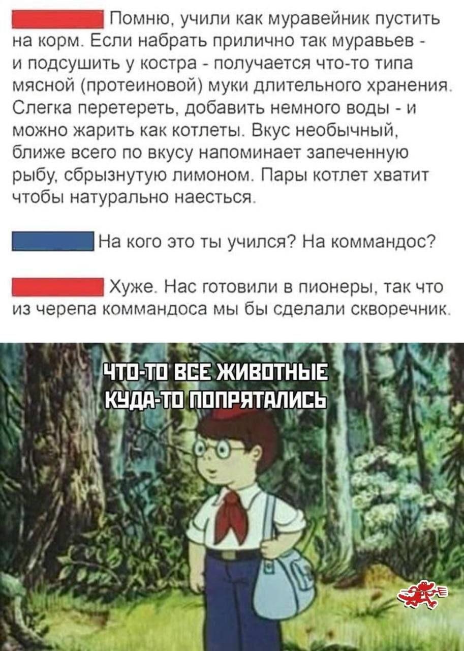 Пионеры, мем